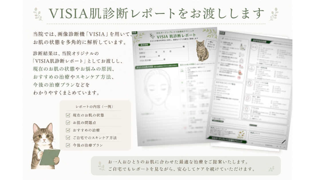 VISIAの解析項目